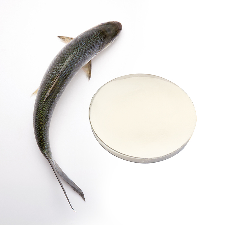 Fish Collagen Peptide Powder supplier Yangge Biotech Fish Collagen Peptide Powder supplier Yangge Biotech