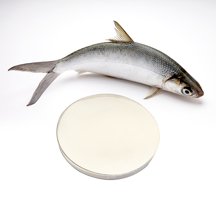 China Factory supply wholesale collagen powder fish collagen peptide ...