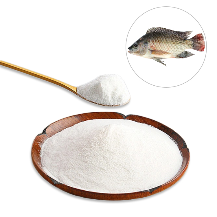 Fish Protein Hydrolysate supplier Fish Protein Hydrolysate supplier